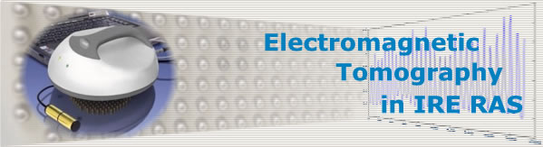 Electromagnetic Tomography in IRE RAS