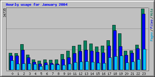 Hourly usage for January 2004