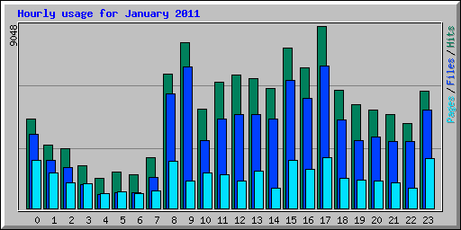 Hourly usage for January 2011